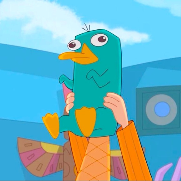 Meet your Posher, Mackenzie - Picture 1 of 5